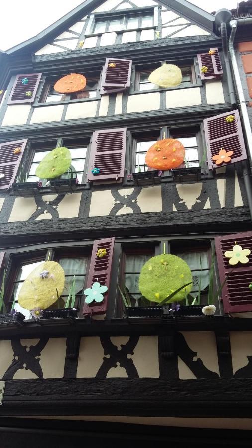 Appartement Commanderie Colmar